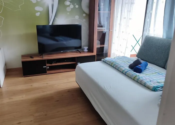 Irdning Pichlarn Apartment *