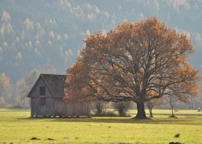 Apartment Irdning Pichlarn